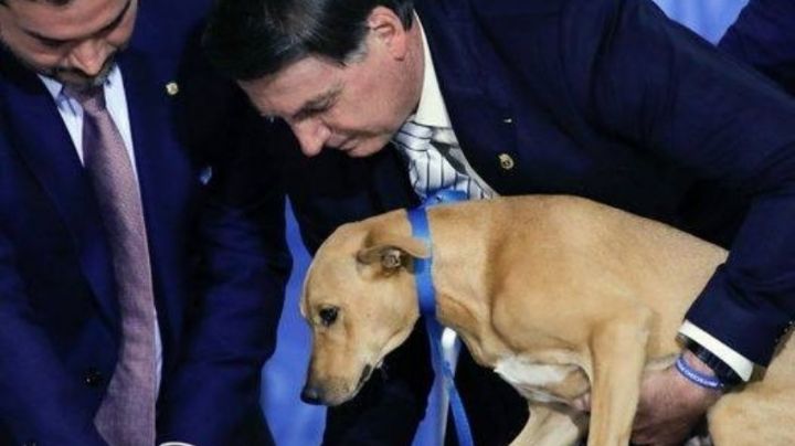 Bolsonaro hizo que un perro «firmara» ley sobre maltrato animal