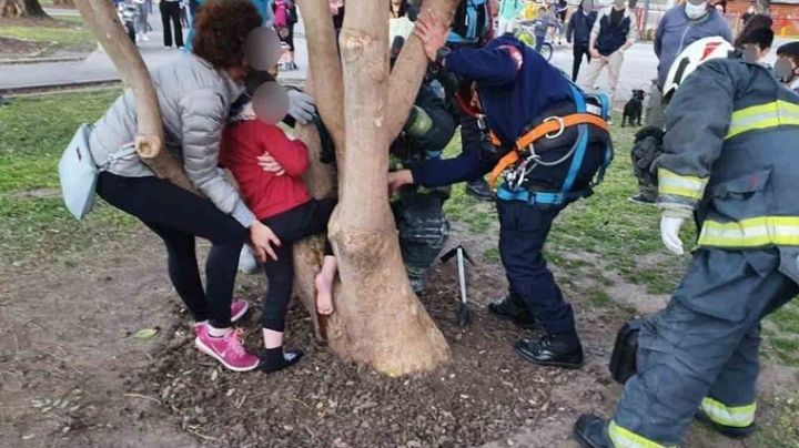 Un nene quedó atrapado en un árbol y los bomberos lo rescataron