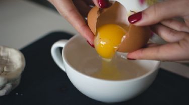 Cuál es la parte más nutritiva del huevo