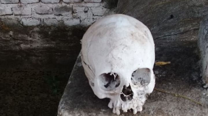 Hallaron huesos esparcidos en el cementerio de San Carlos Minas