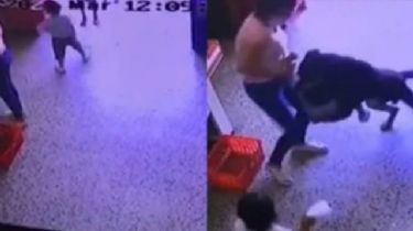 Un perro atacó a un niño que quiso acariciarlo en un supermercado