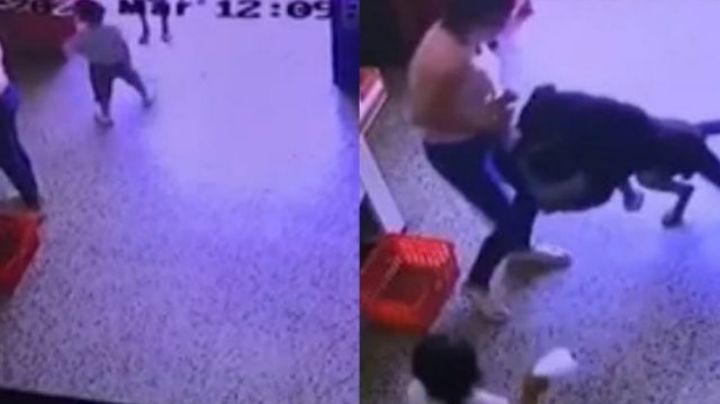 Un perro atacó a un niño que quiso acariciarlo en un supermercado