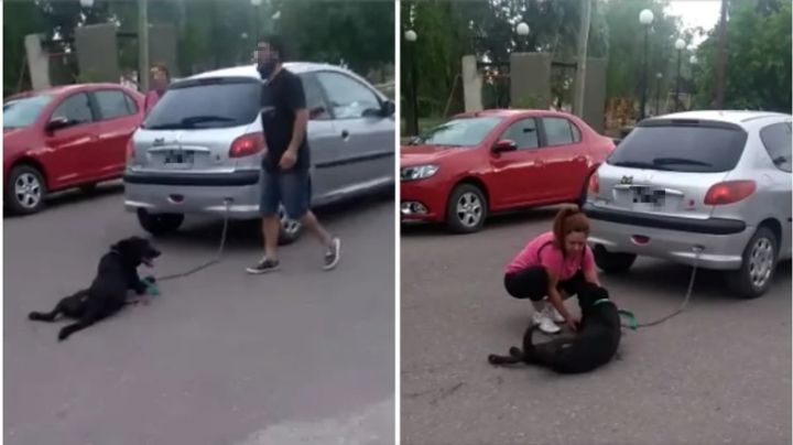 Indignante: Ató a su perro al auto y lo arrastró siete cuadras