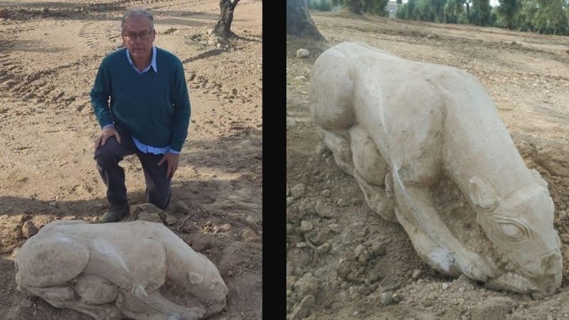 Un agricultor araba la tierra y halló una leona de piedra de 2.500 años