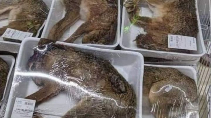 Polémica: Un supermercado vendía animales enteros en bandejas