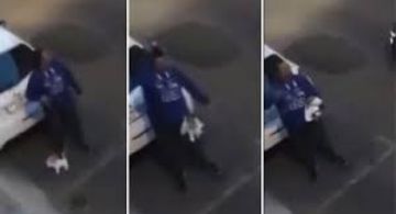 Intentó escapar de la cuarentena sacando a pasear un perro de peluche