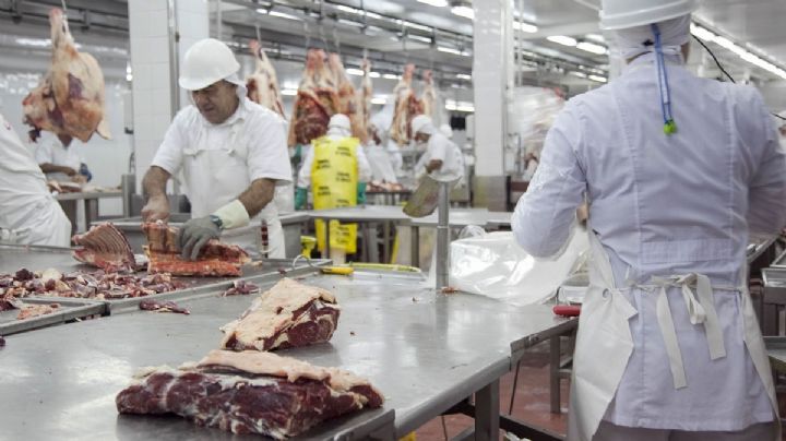 La industria frigorífica deberá informar los valores de la carne