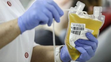 El Senado aprobó la donación de plasma