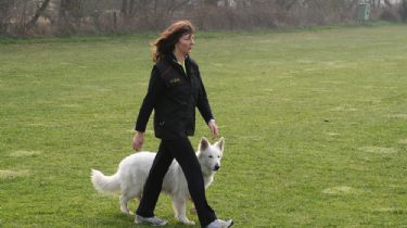 Cómo enseñarle a tu perro a caminar a tu lado y sin correa