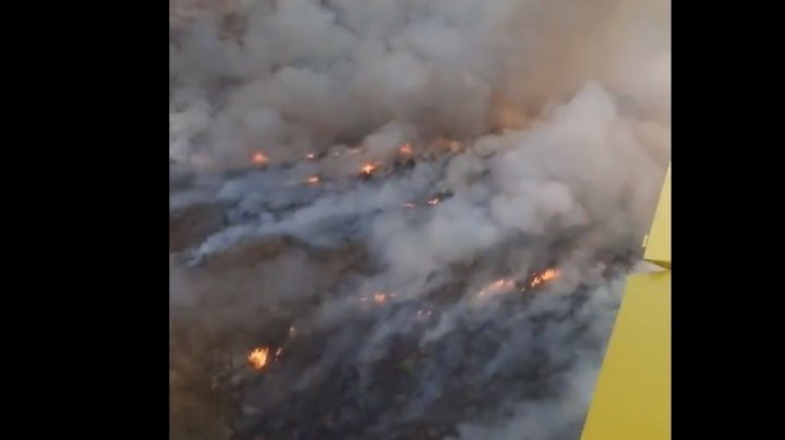 Más de 40 bomberos combaten un gran incendio en las sierras