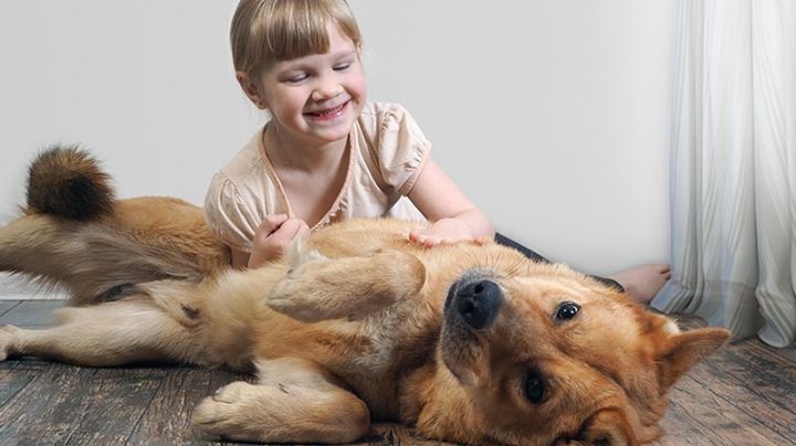 Que raza de perros elegir si hay niños en casa