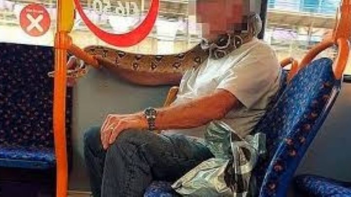 Viral: Cubrió su cara con una serpiente en vez de usar un barbijo
