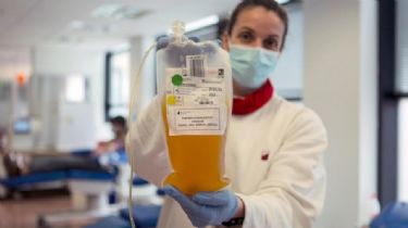 Coronavirus: Aumentó la cantidad de donantes de plasma en Córdoba