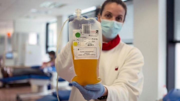 Coronavirus: Aumentó la cantidad de donantes de plasma en Córdoba