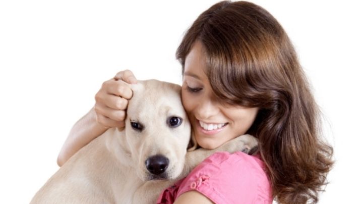 Cuáles son las emociones que los perros comparten con las personas