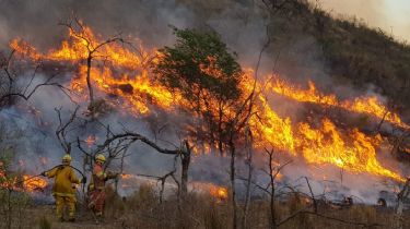 En 11 días se quemaron más de 60 mil hectáreas en la provincia de Córdoba