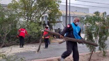 Las ráfagas tiraron 25 árboles y 19 postes en Córdoba