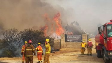 Arduh pidió quita de subsidios y beneficios para quienes causen incendios