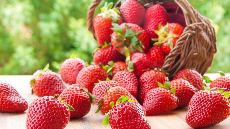 Frutillas: Beneficios y propiedades de esta sabrosa fruta