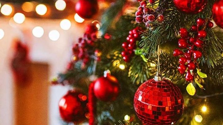 Los árboles de Navidad pueden mejorar nuestra salud