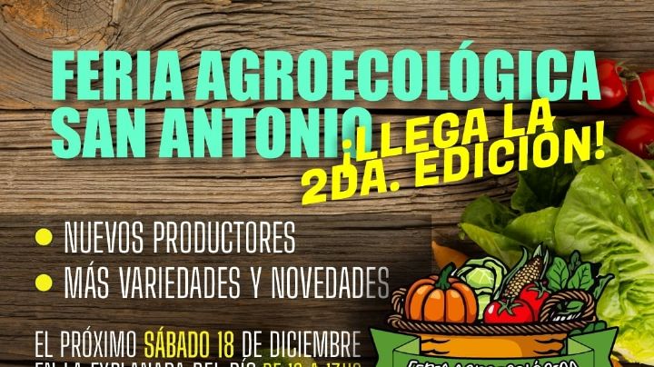 Vuelve la Feria Agroecológica de San Antonio