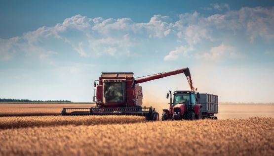 Cómo ha evolucionado el mercado de maquinaria agrícola en Villa Carlos Paz