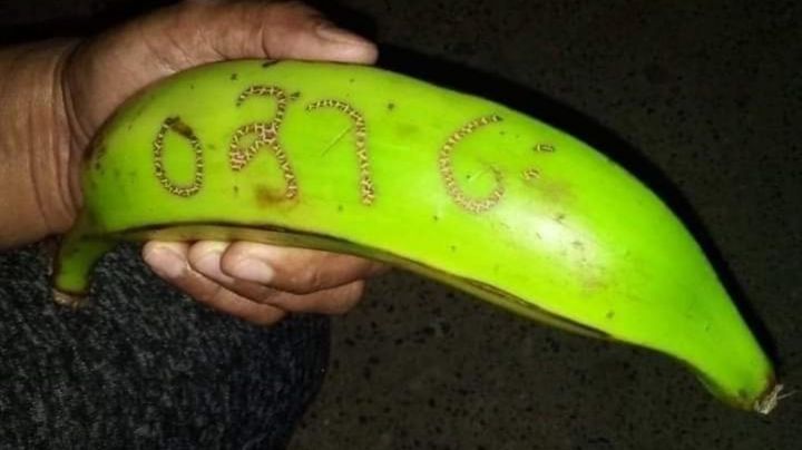 La banana viral que hizo ganar la lotería a 2.000 colombianos