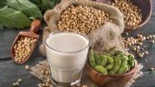 Beneficios y propiedades que brinda la soja a la salud
