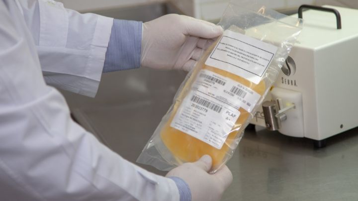 Piden retomar la donación de plasma de pacientes recuperados de Covid
