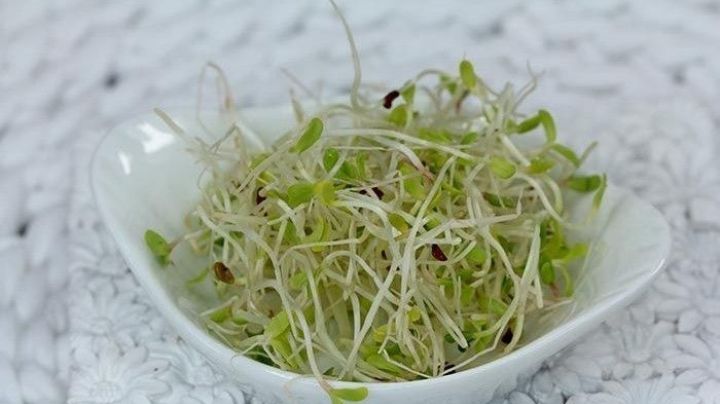 Alfalfa, el alimento que te ayudará a bajar el colesterol