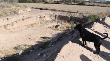 Colonia Caroya: municipio echó a tres trabajadores que maltrataron un perro