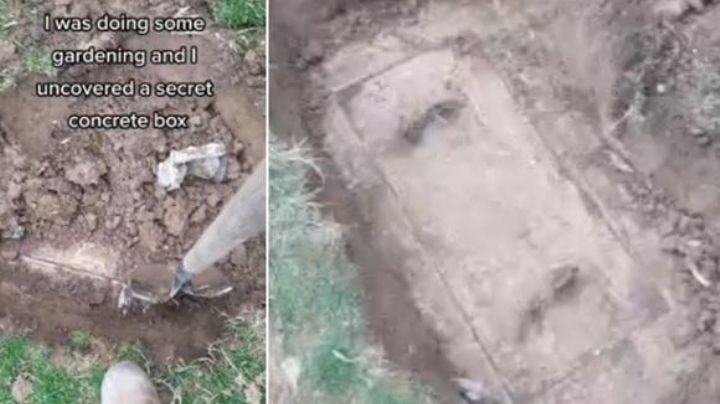 Decidió arreglar su jardín y halló una «caja secreta de concreto» enterrada