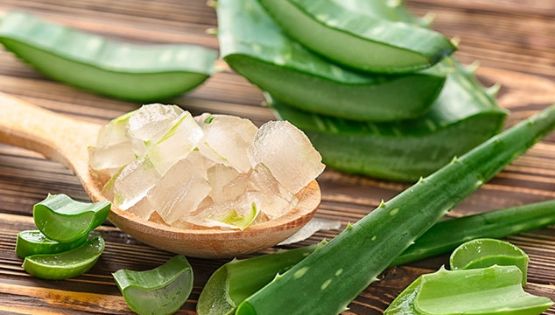 Descubre los sorprendentes beneficios y usos del Aloe Vera