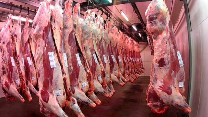 Comenzó el paro del campo por el cierre de las exportaciones de carne