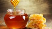 Estos son los seis beneficios que nos brinda la miel