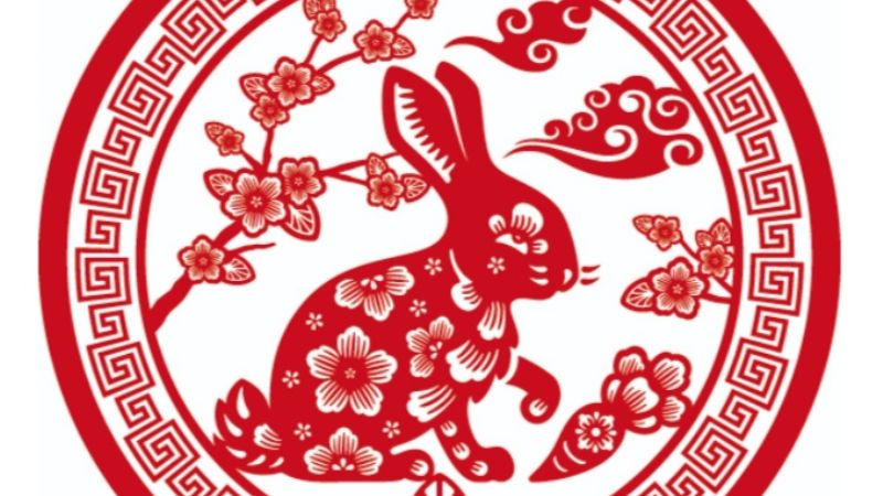 Horóscopo chino: mirá cómo es el Conejo