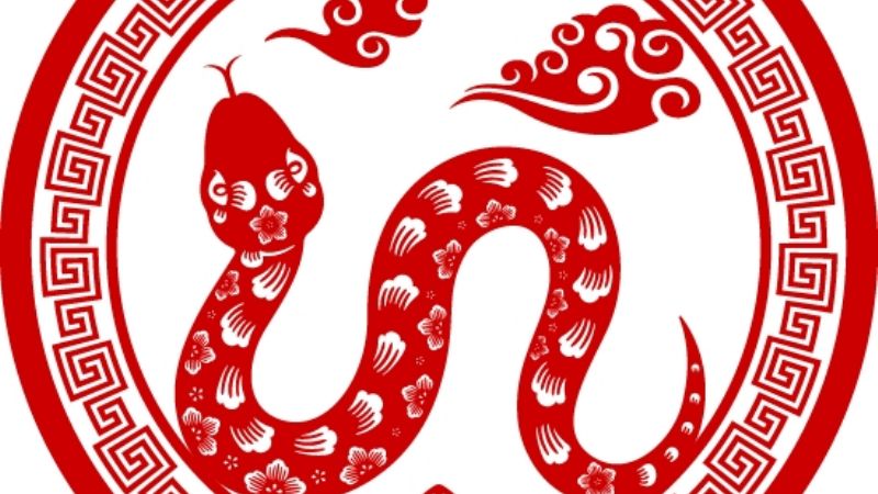 Características de la serpiente en el horóscopo chino
