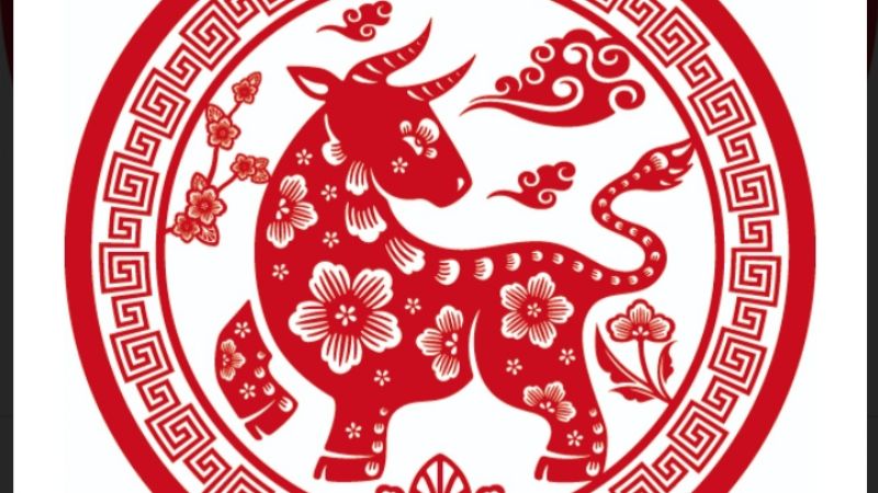 Características del búfalo en el horóscopo chino