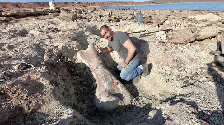 Hallaron restos de un dinosaurio gigante en Neuquén