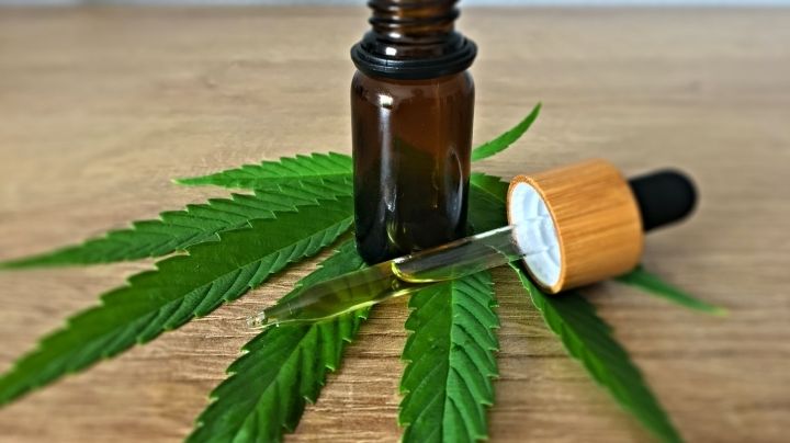 Kulfas, sobre el cannabis medicinal: «Esta Ley va a permitir desarrollar una industria nueva»