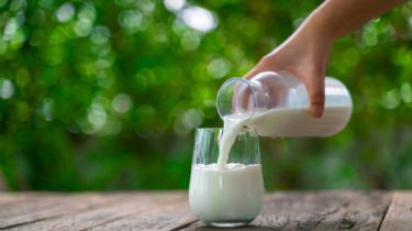 Beneficios y propiedades para la salud de la leche de vaca