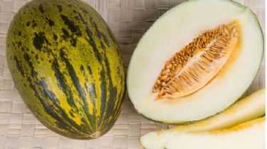 Las semillas del melón aportan grandes beneficios a la salud