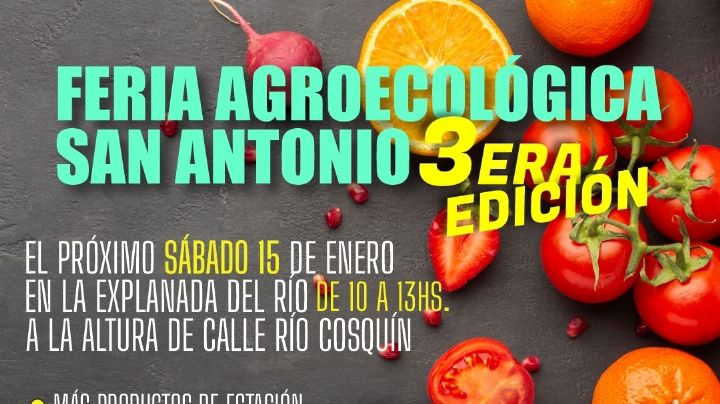 Vuelve la Feria Agroecológica a la costanera San Antonio