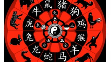 Conoce cuál es tu elemento según el horóscopo chino y qué significa