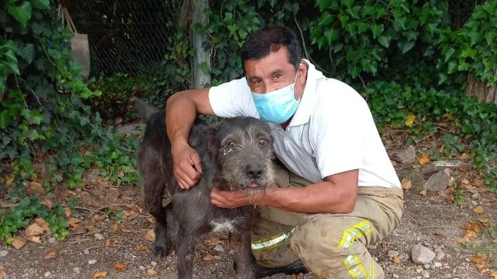 Rescatan a un perro tras el derrumbe de una vivienda en La Cumbre