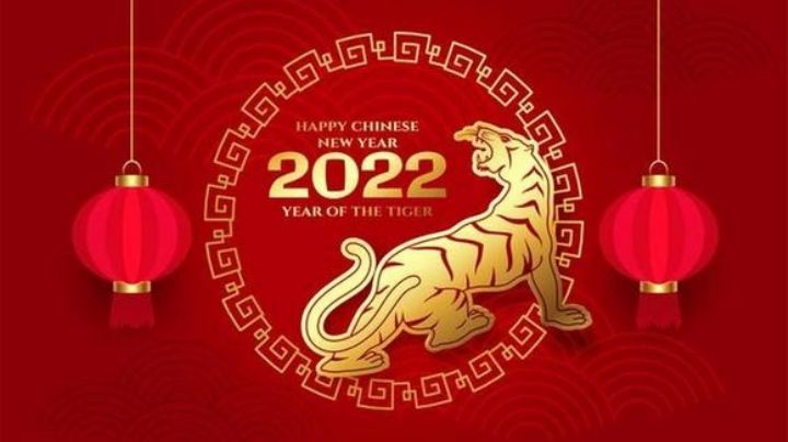 Año del Tigre de Agua: lo que debes y no debes hacer según tu horoscopo chino