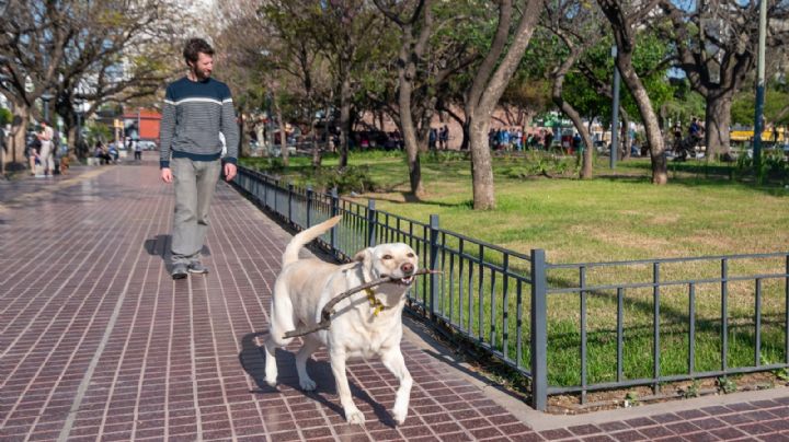 Los perros tendrán su propio parque en Córdoba