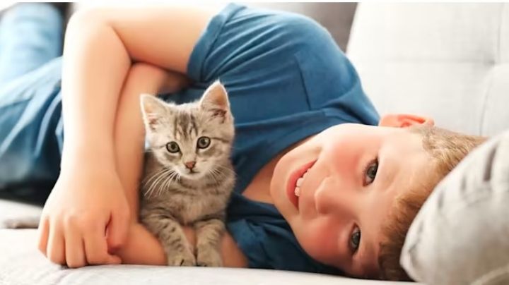 5 razones increíbles por las que los niños deberían crecer con gatos