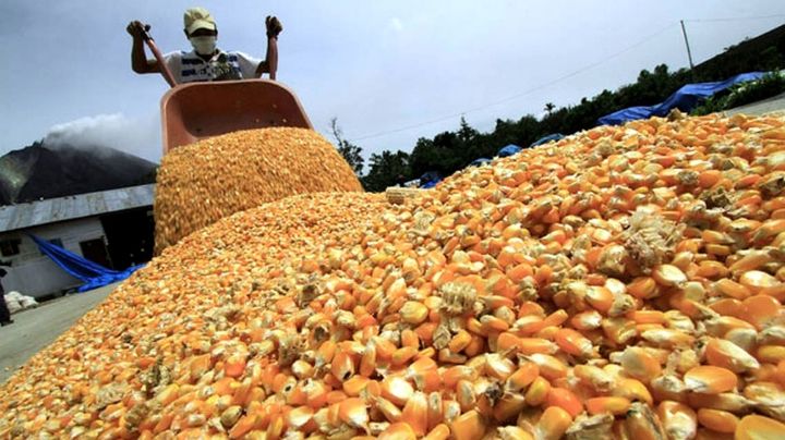El gobierno destinará $15.000 millones para subsidiar a productores de soja y maíz