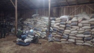 Córdoba: 15 allanamientos por una causa ligada al contrabando de granos